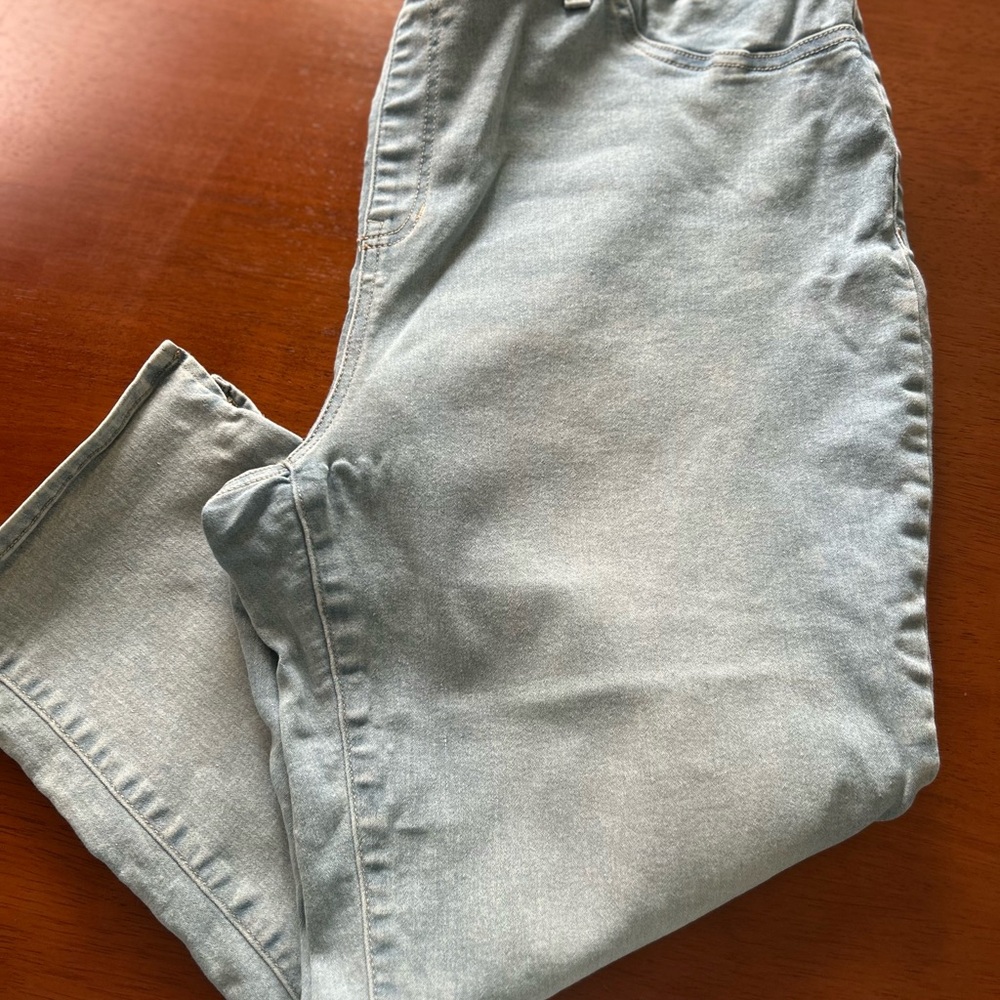 Terra and Sky 1X Pull on Ankle Pants